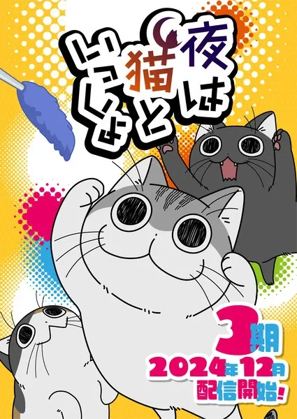 Постер аниме Вечера с кошкой 3 сезон